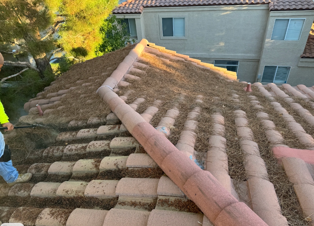 Foothill Vista Concrete Shake Roof Staging